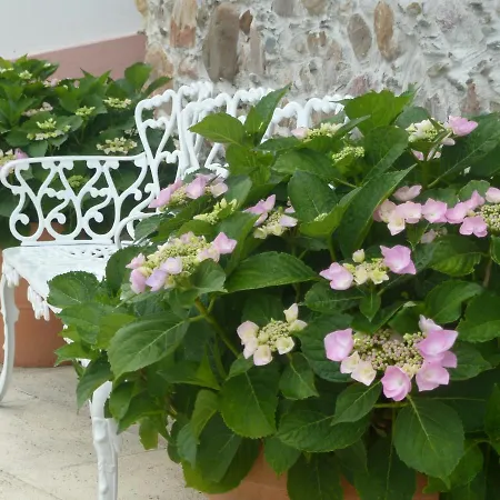 Bed & Breakfast Casa Do Sapateiro Serpins