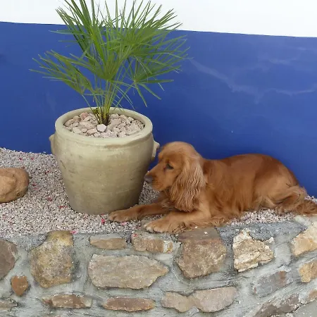 Casa Do Sapateiro *